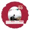 Red Suede Mat Board for 20x24 Frames - Oval Opening for 16x20 Photos